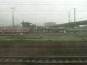 04290036